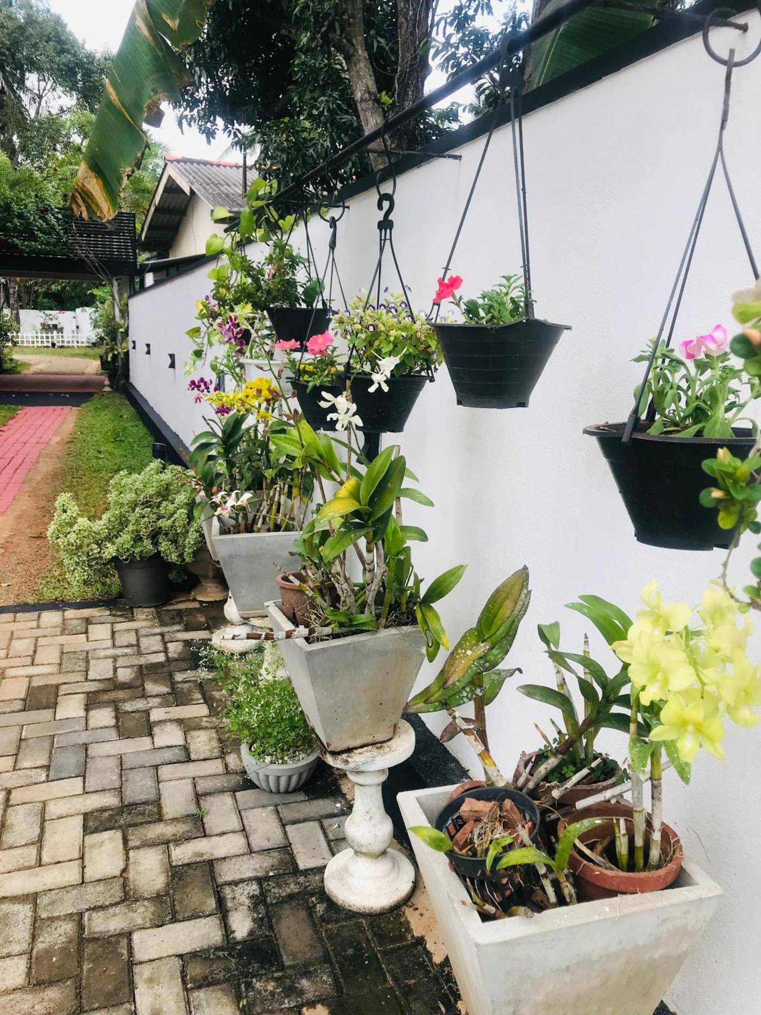 Pinidiya Resort Anuradhapura Eksteriør bilde