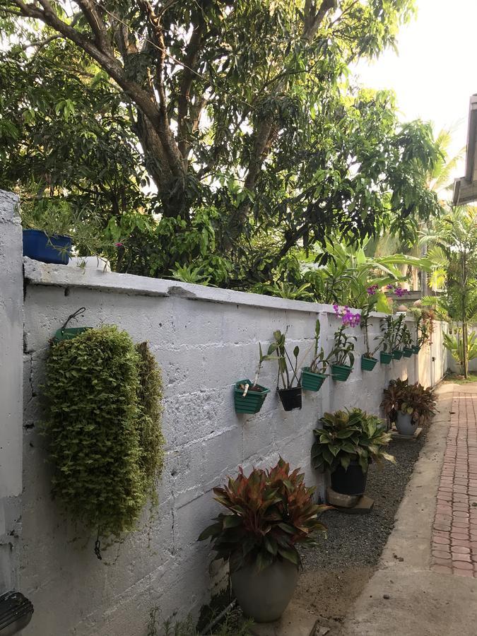 Pinidiya Resort Anuradhapura Eksteriør bilde